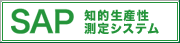 SAP-Subjective Assessment of workplace Productivity